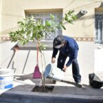 AGRADECE MUNICIPIO DE AGUASCALIENTES A LAS FAMILIAS QUE SE SUMARON AL PROGRAMA EL “ÁRBOL DE MI CASA”